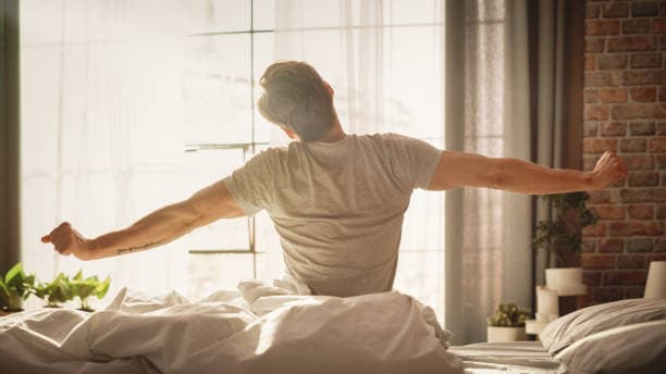 Your Sleep Hormone Takes Cues from the Sun